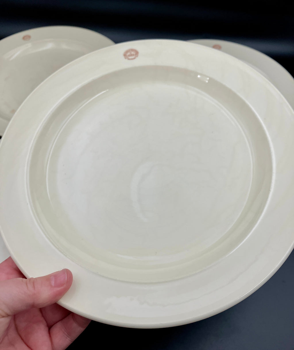 Vintage Bendigo Pottery Side Plate, Dinner Plates & Bowls Cream Set Of 11