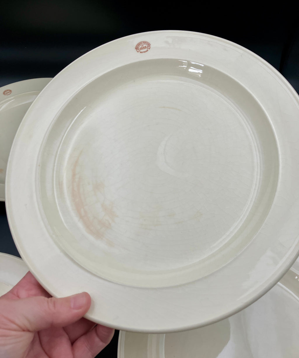 Vintage Bendigo Pottery Side Plate, Dinner Plates & Bowls Cream Set Of 11
