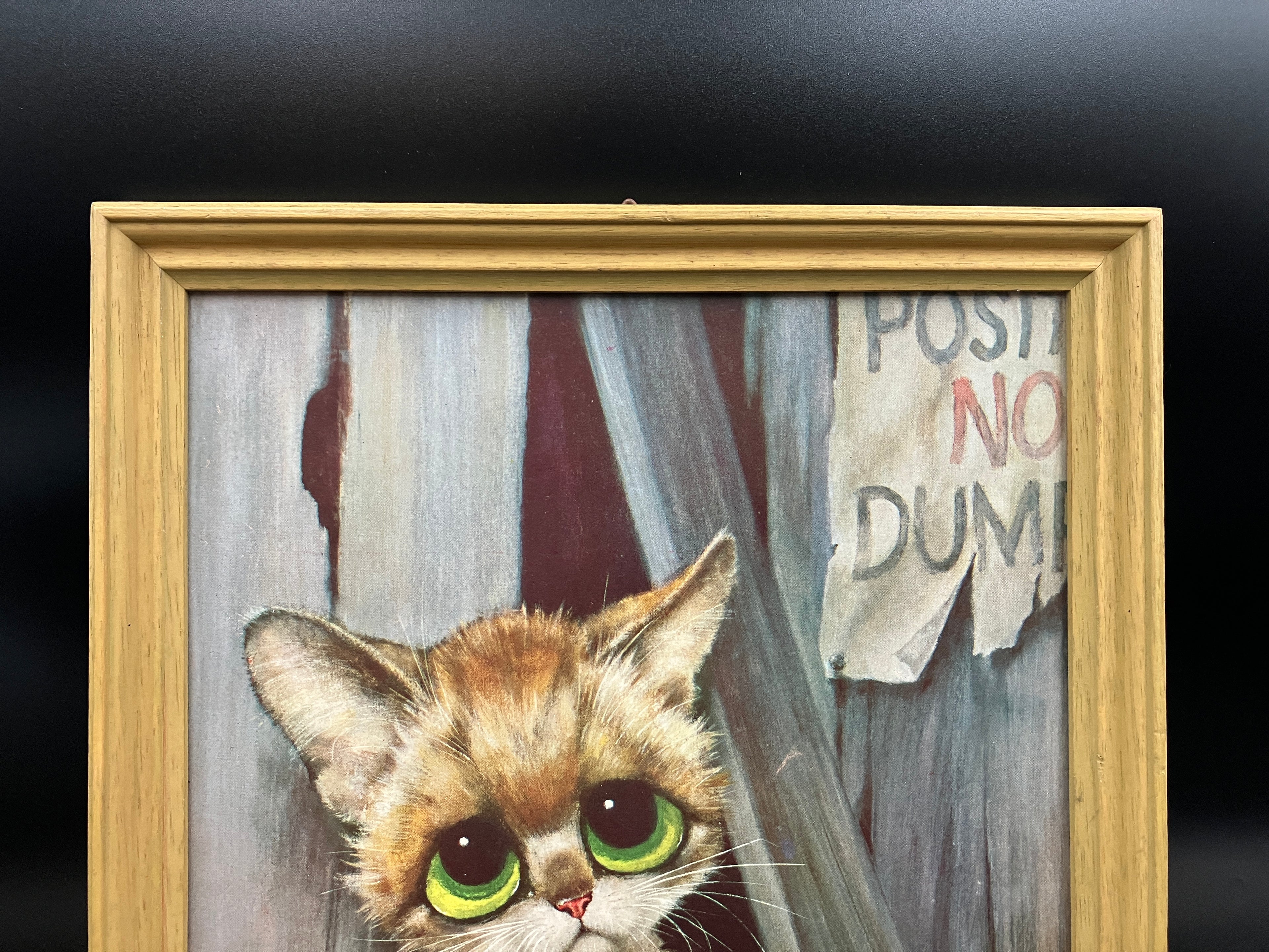 Vintage 1965 Gig Winde “Pity Kitty" Big Eye Alley Cat Art Print 34cm X 23.5cm
