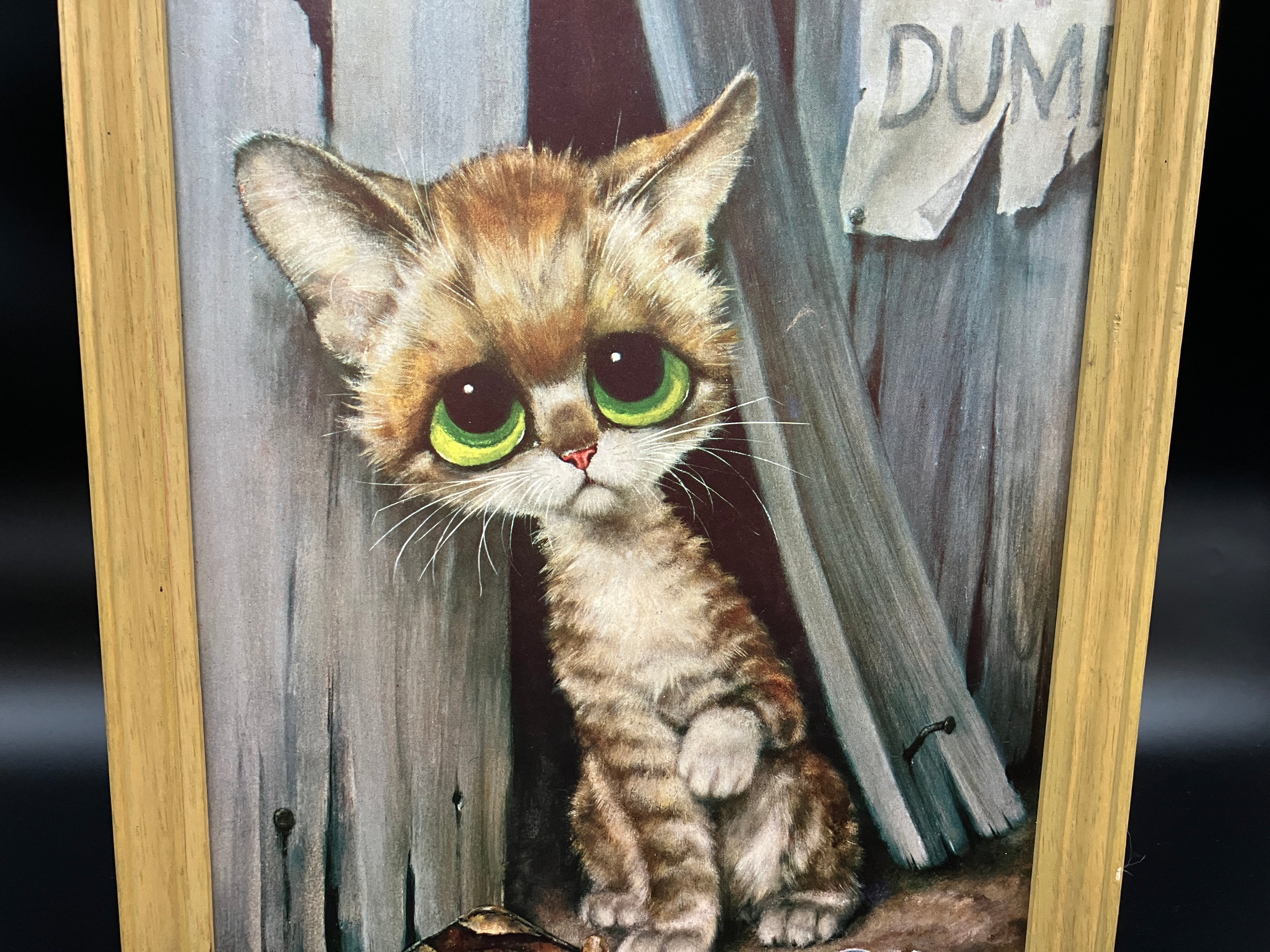 Vintage 1965 Gig Winde “Pity Kitty" Big Eye Alley Cat Art Print 34cm X 23.5cm