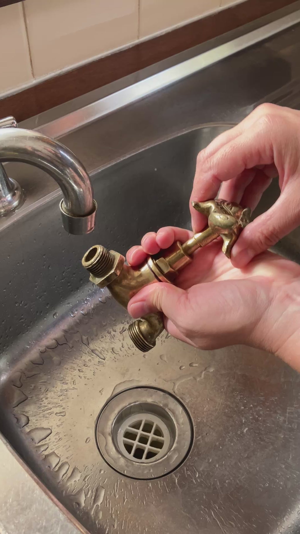 Vintage Brass Tap With A Turtle